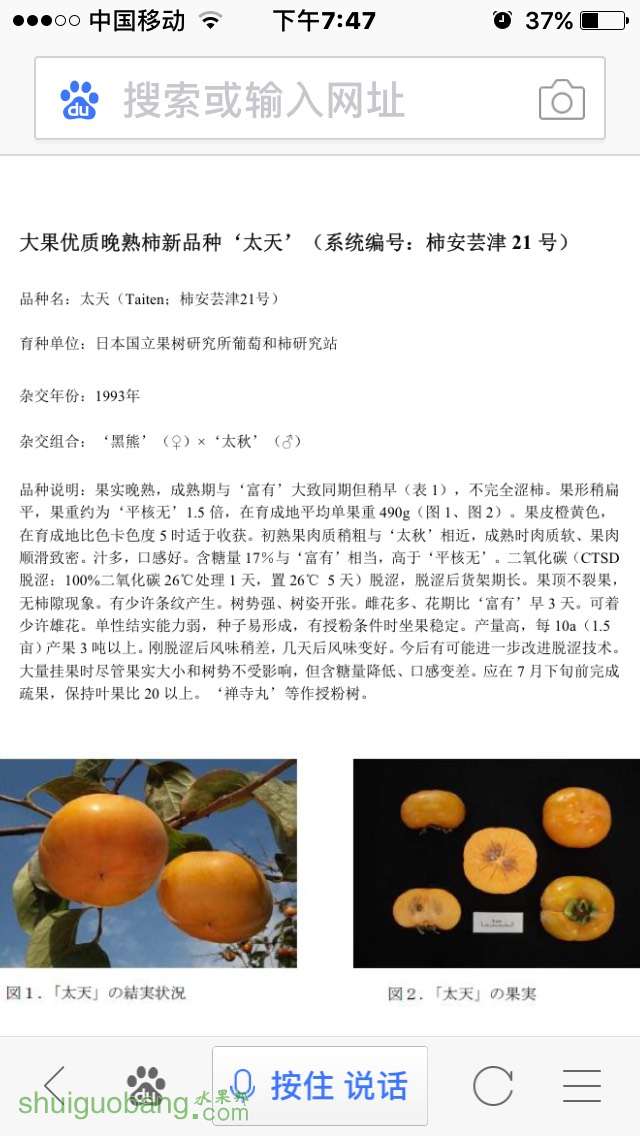 195218fs3wvwgk1rsk2b1s.jpg
