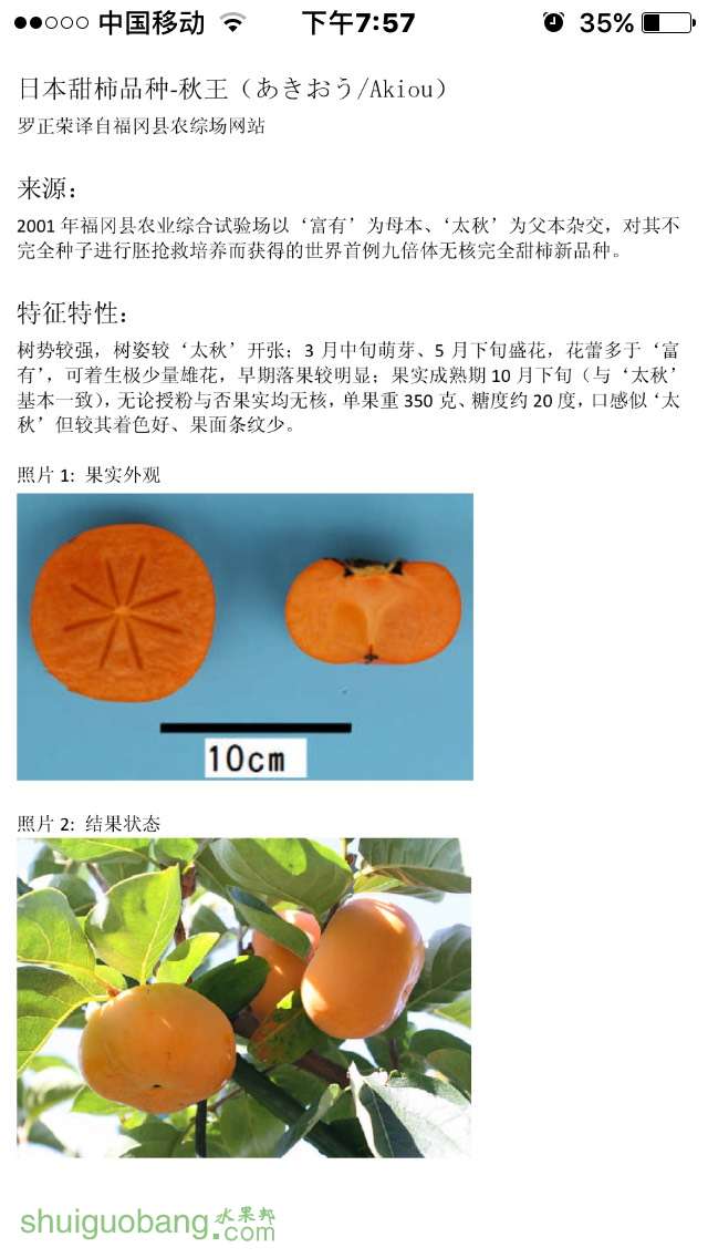 202708bfol1jfkk704s4rc.jpg