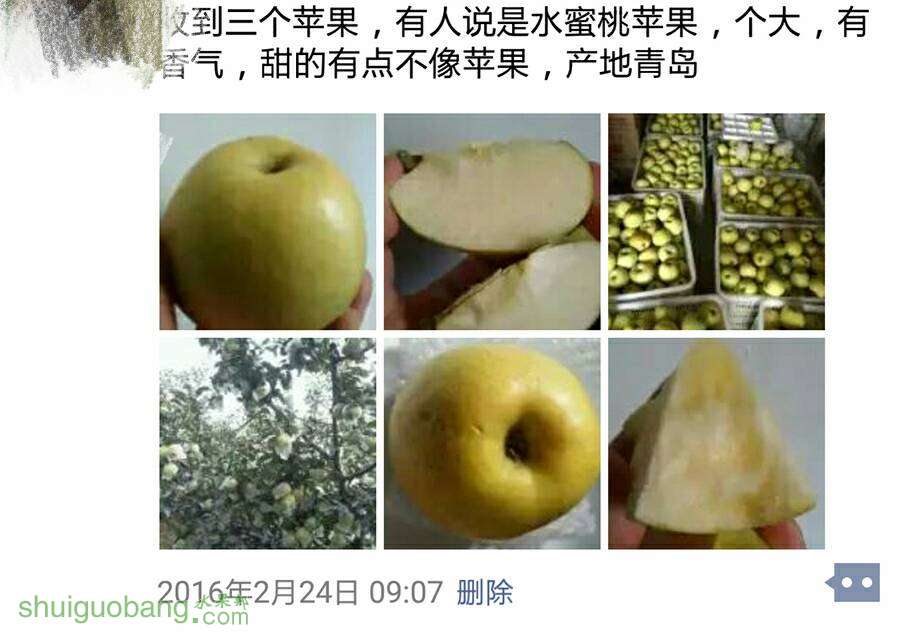 085257oqwwdiw9f7nbgx6g.jpg