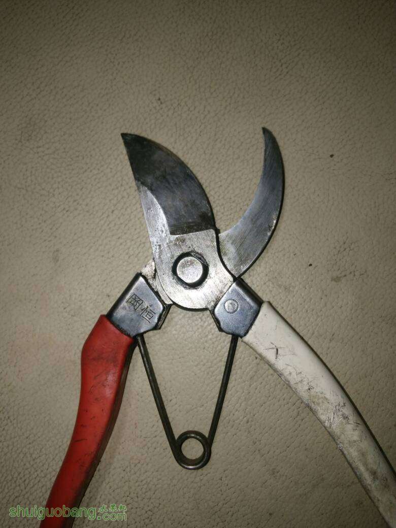 095055iujfu0jljnmllklk.jpg