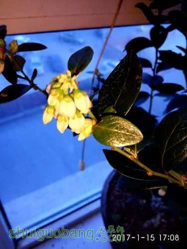 IMG_20170115_170835.jpg
