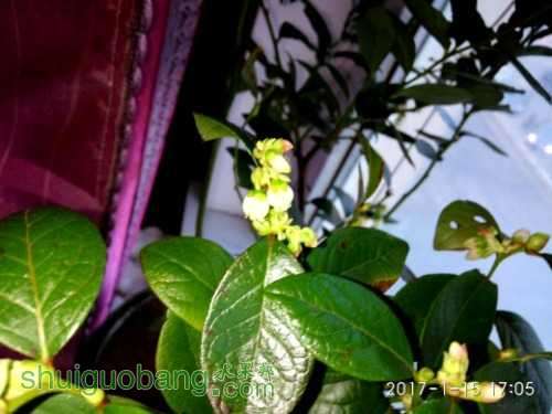 IMG_20170115_170527.jpg