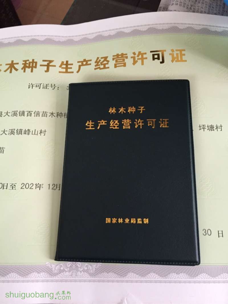 074854udnbj7ln3n76uzu6.jpg