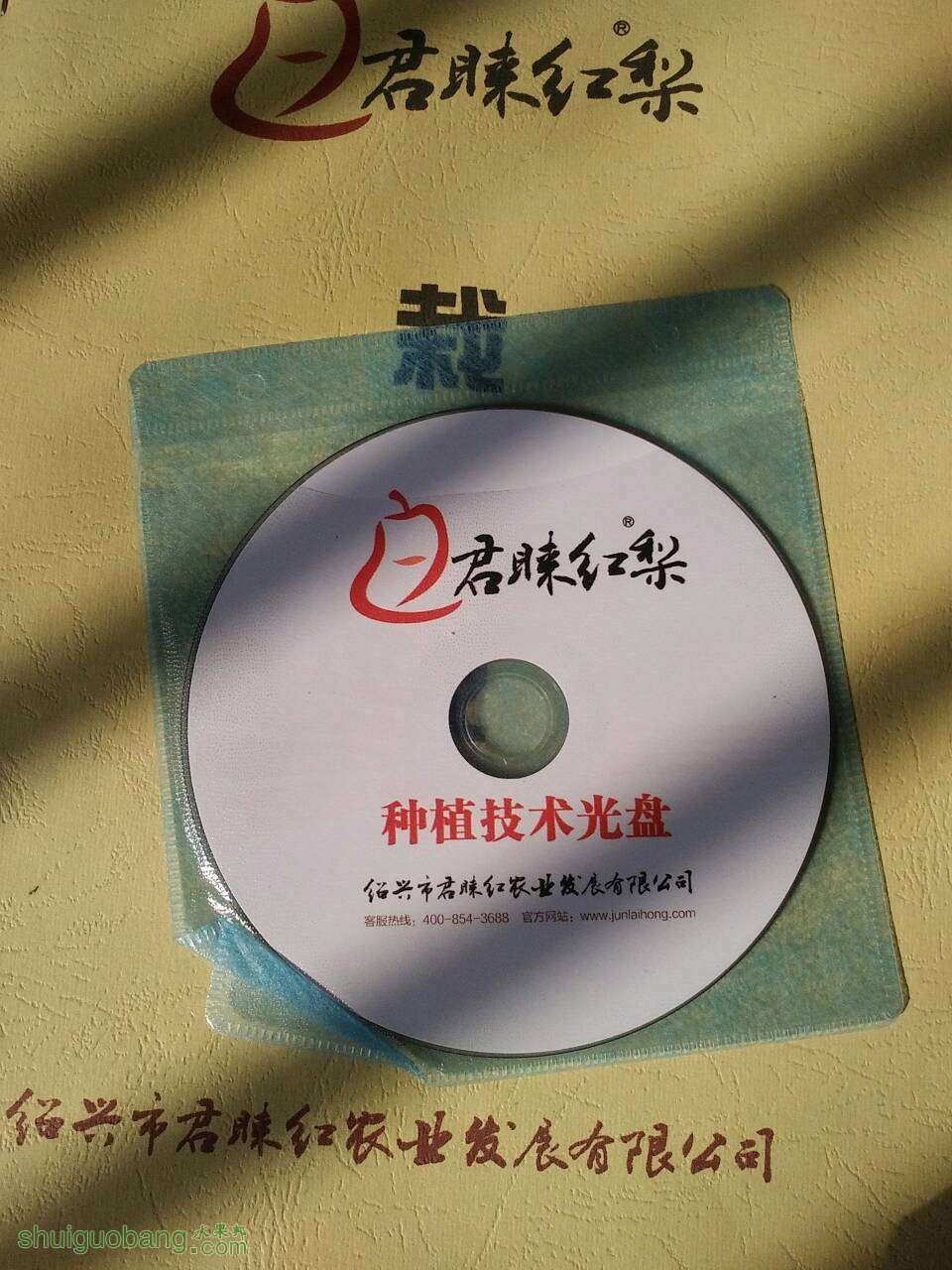 122538l7j1gggllbb1qegy.jpg