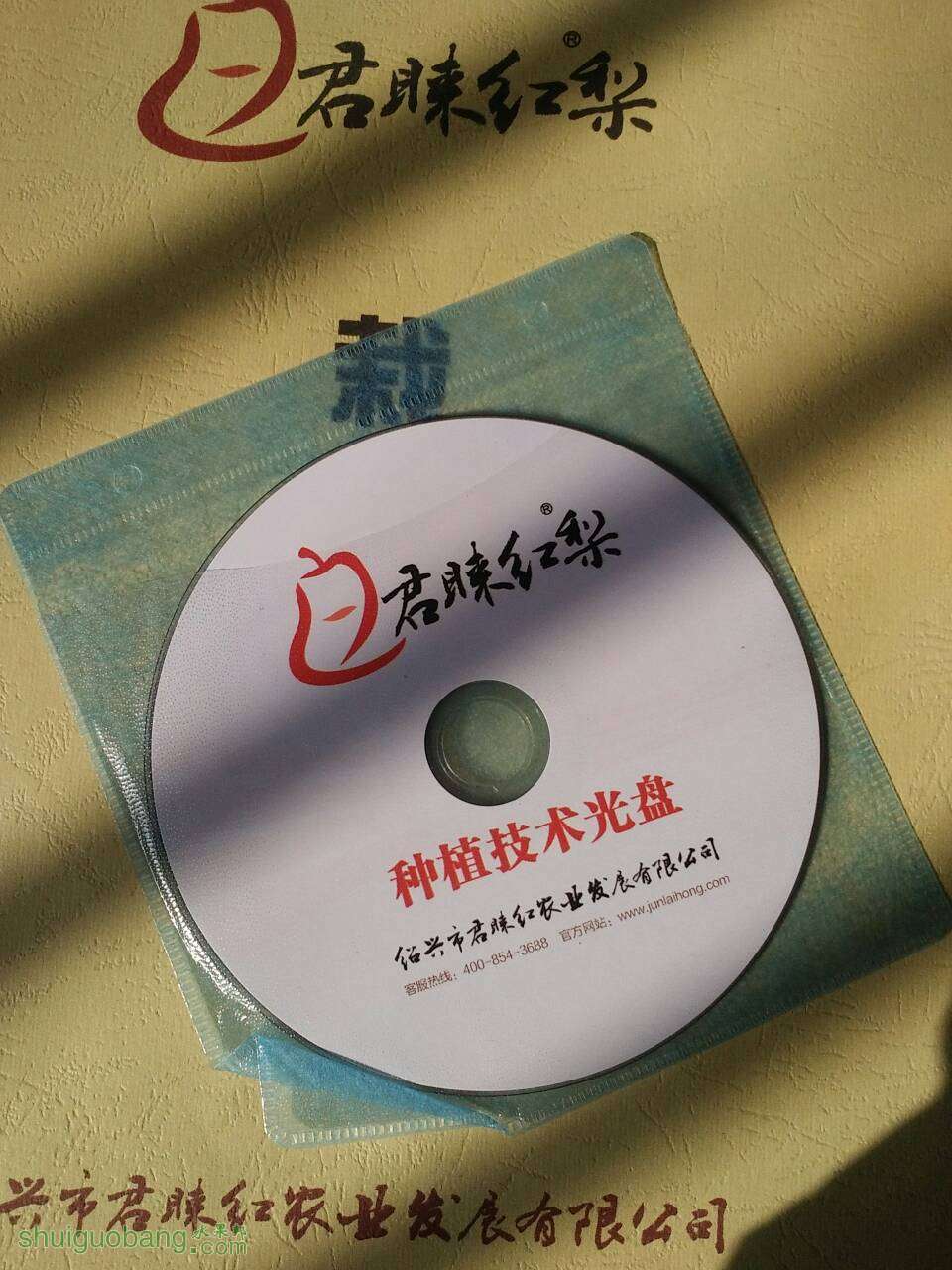 122923uy5ymu6uojyry8wy.jpg