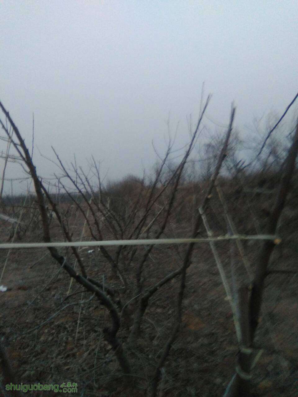 120157ua67j7rcljlx6ucj.jpg