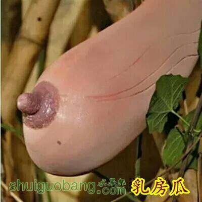 151253kzn9twawnjhhthas.jpg