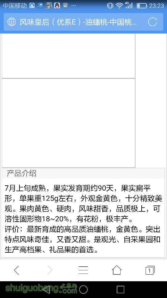 232549yc1twtuo1toz1b1m.png