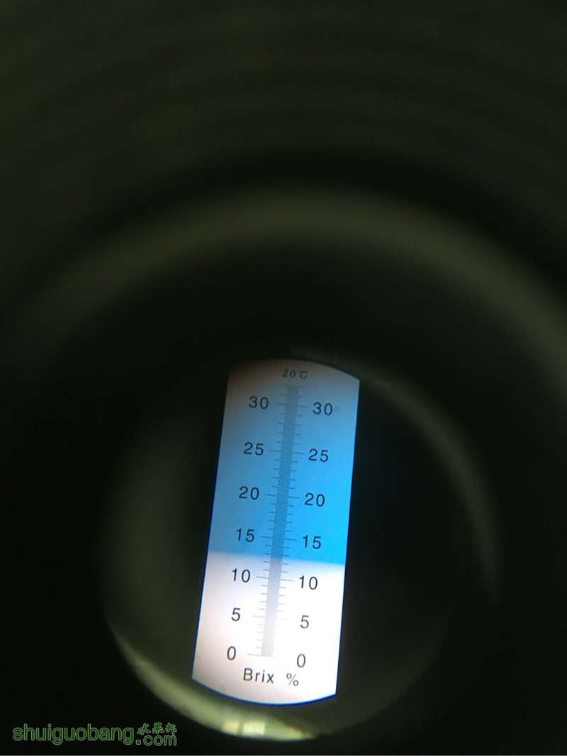 183005iwe8xe1ss7ew7m6q.jpg
