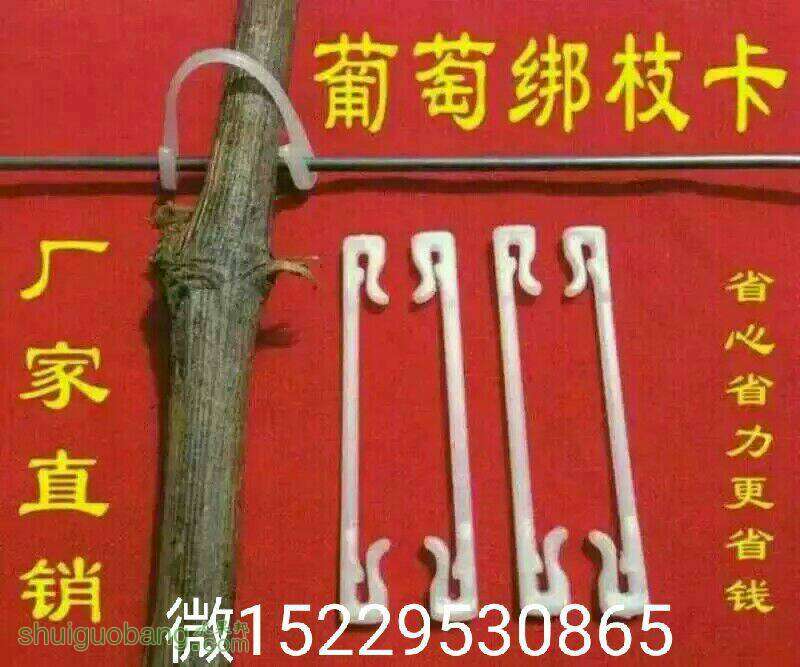065901h1vpr7vr0anhz70v.jpg