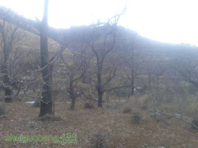 071625lo57ffq7fqk977pp.jpg