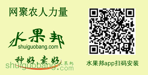 app.png