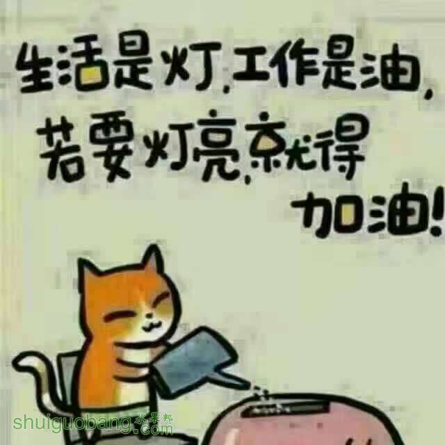 100444nedbjsz9by5y6nef.jpg