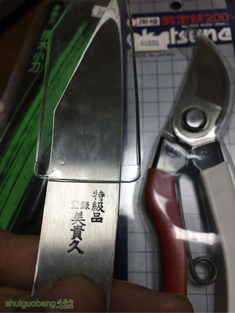 181029ey0q44kq0tegpeeb.jpg