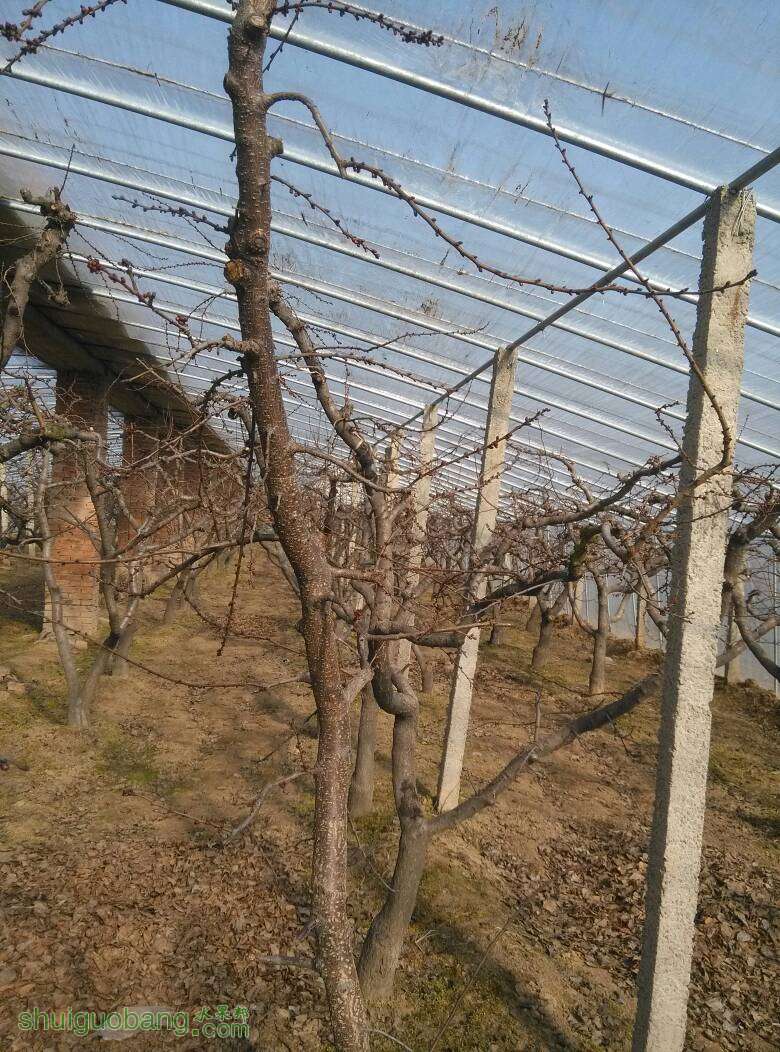 182144p9tthu4vm9otkivh.jpg