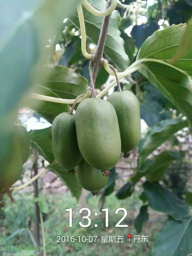 212311bpmy9y91mt3ptfo9.jpeg