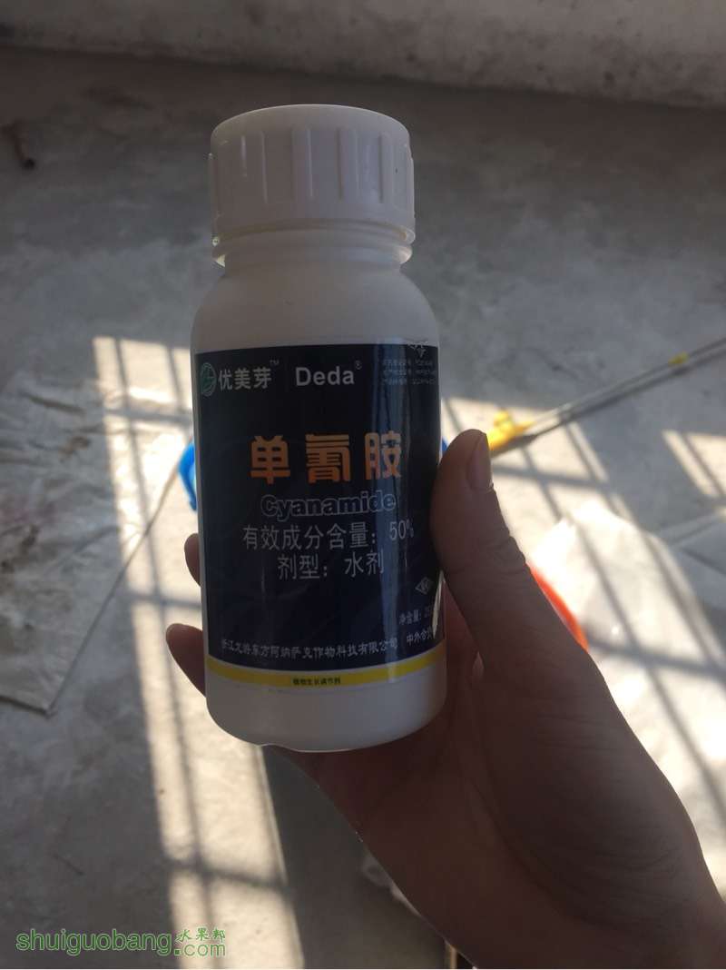 103442a2wejjlleyjyjql7.jpg
