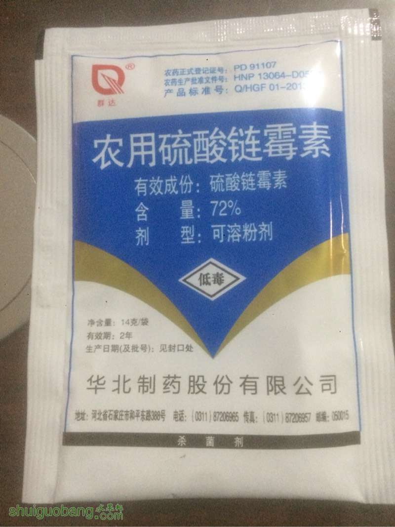 111317v10b570sss3sl80l.jpg
