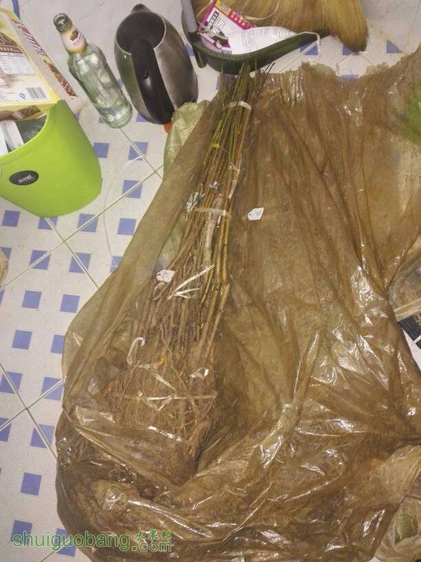 234651utpttpi3nn5zvrte.jpg
