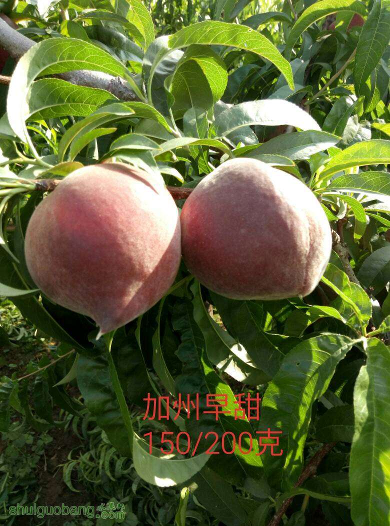 082326btkkk4xxid6qx9lq.jpg