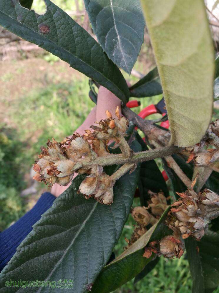 141530ohix26nalhczdzjo.jpg