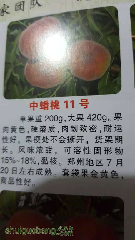 165828n3wmrmgktk9x3gtt.jpg