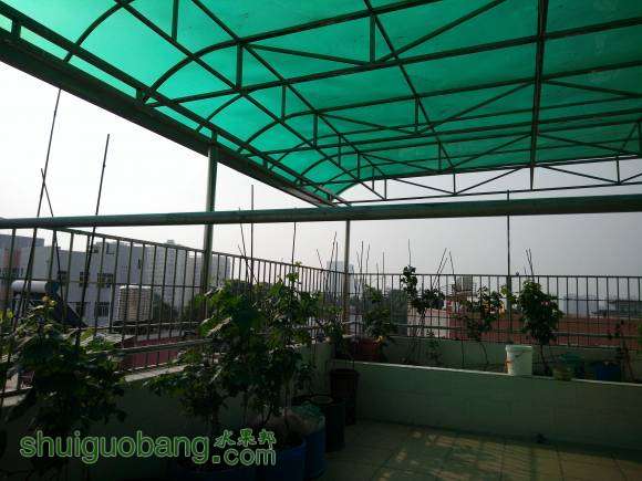 IMG20160507075402.jpg