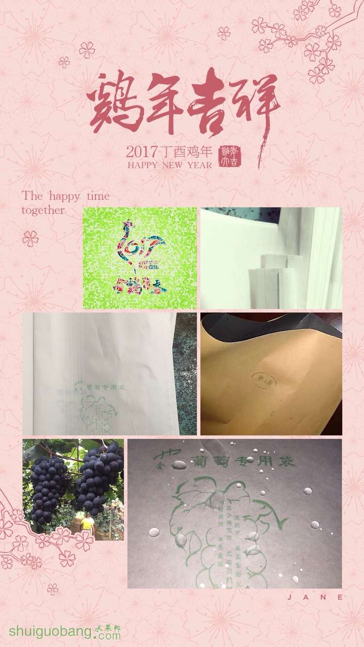 184203qpkfvtryapwfv6aw.jpg