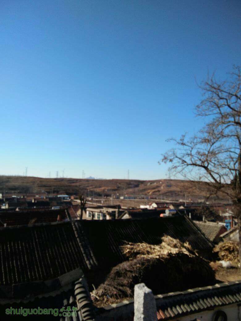 182309m1m027bvtdp9ekuu.jpg