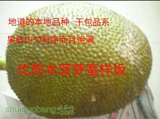 083503fgb60obk0bb6obuo.jpg