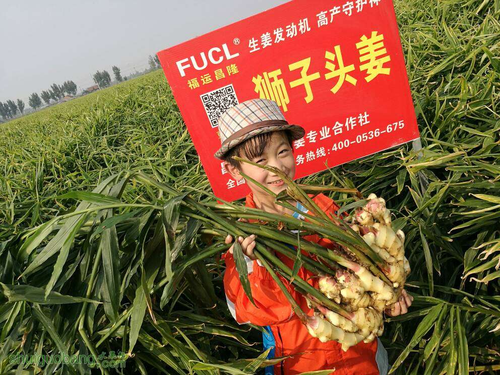 155345fqh5j3ouewfzzfkj.jpg