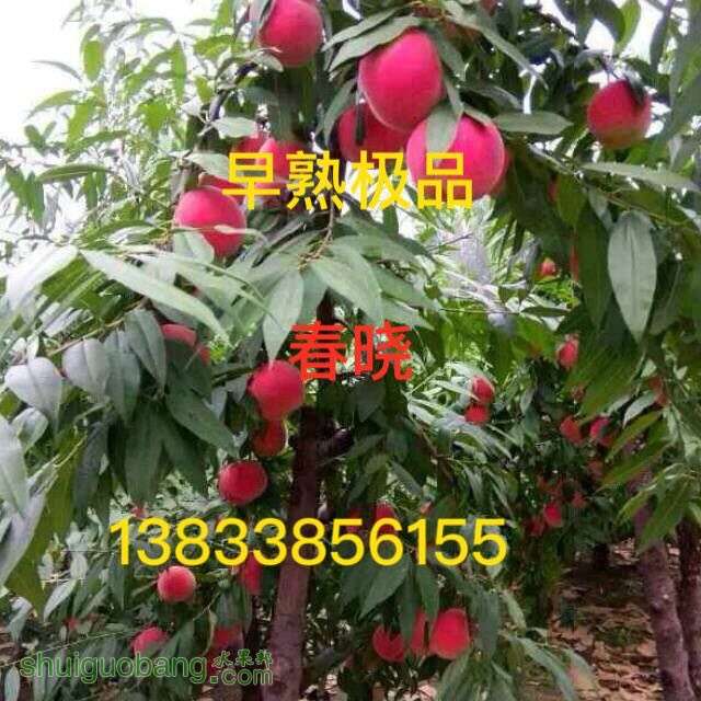 041342cxnsoppxovpvvwtn.jpg