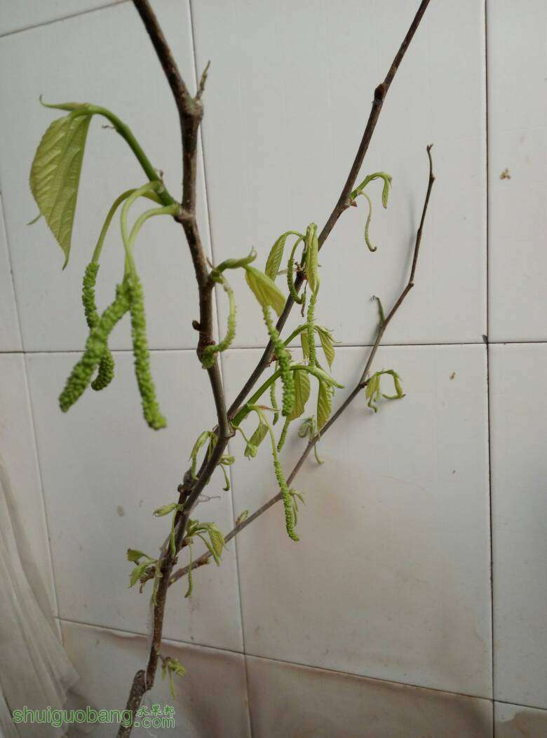 110752u1hh1ouucm3wzcdd.jpg
