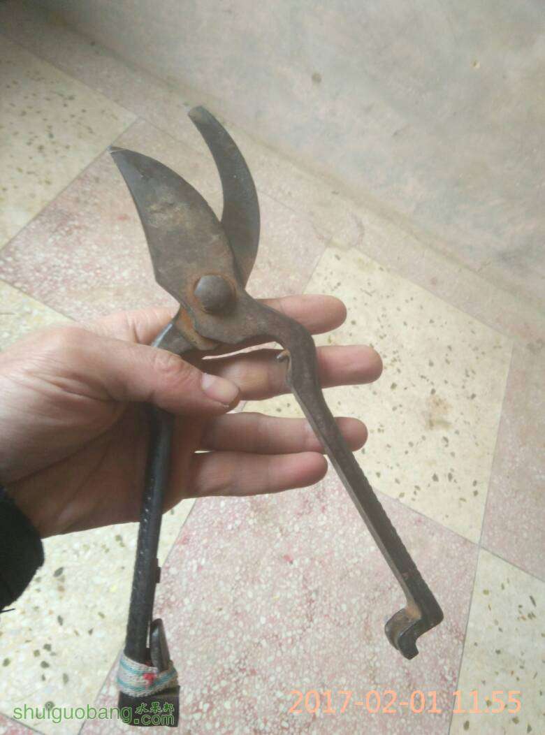 144953fevddskacndm328n.jpg