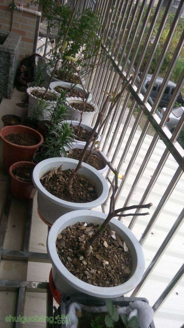 120451tdydymyz3yfbyh2h.jpg