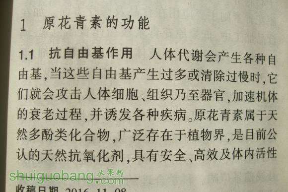 軨 007.jpg