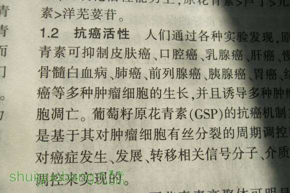 軨 008.jpg