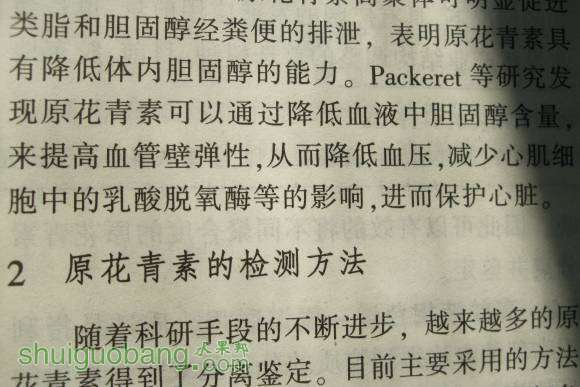 軨 009.jpg