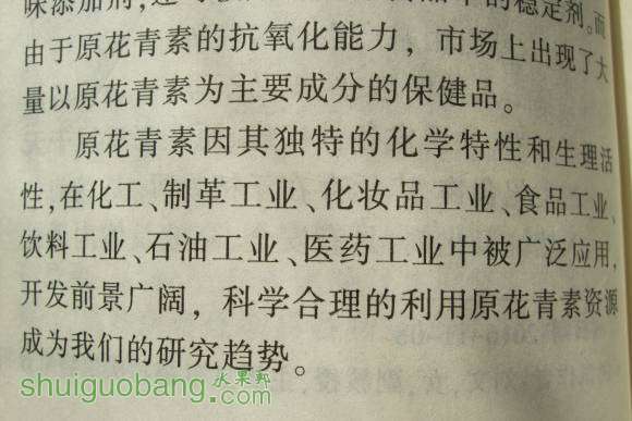 軨 010.jpg