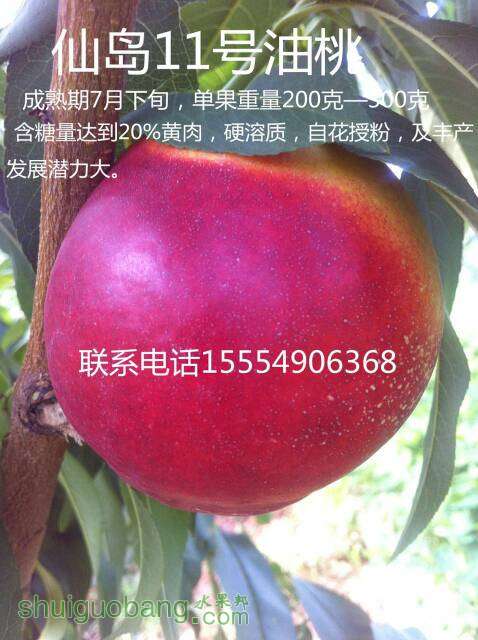 132213h0w0mfow0wwf10wo.jpg