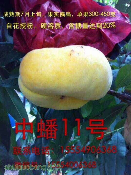 132213uwhfmwt9tqcth6oq.jpg