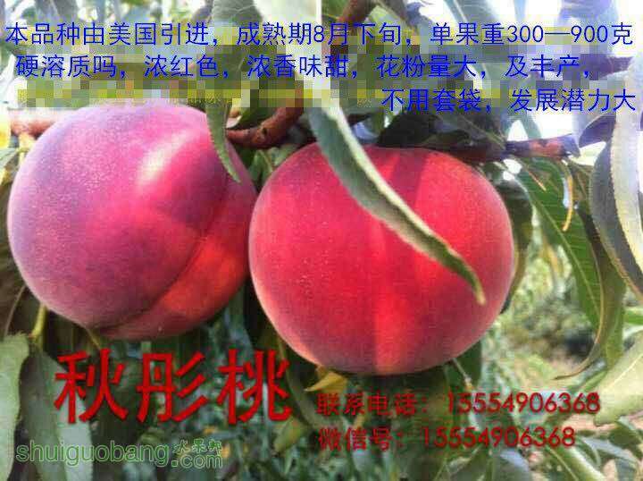132213w4yetv56m5j2mkkr.jpg