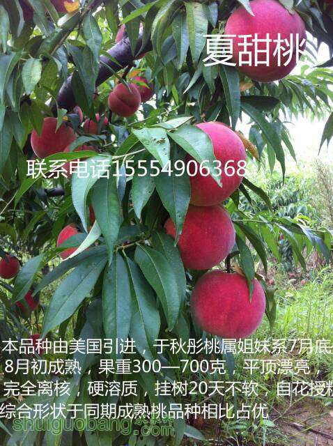 132411dgtr37p9h7x237iw.jpg