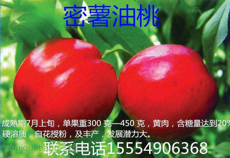 132411z22hg7g5h809db2z.jpg