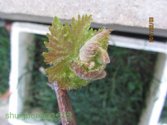 Ƭ 008.jpg