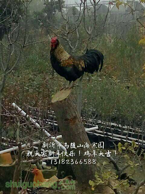 182124jwkv00bg0o2ui7hw.jpg