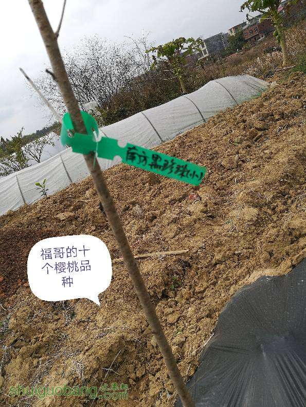 211402q3bt99lpngtu9yun.jpg