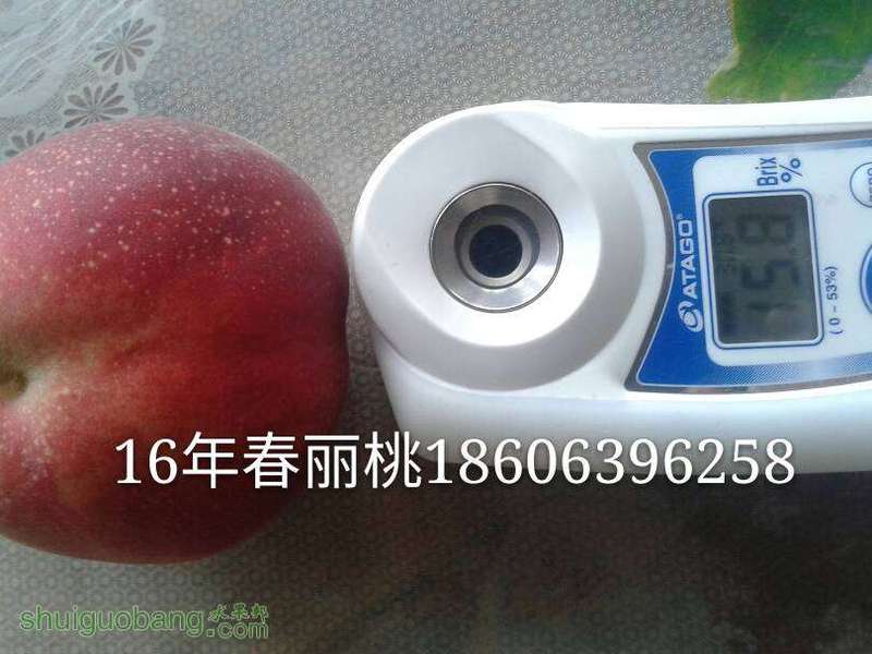 161301uy97didyqzdzyx9y.jpg