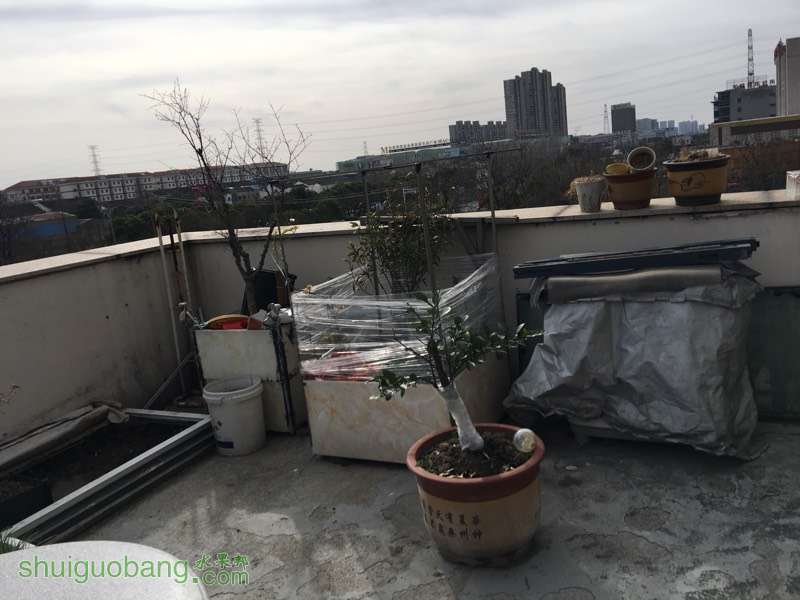 150644wvpzpqqqdtvv88np.jpg