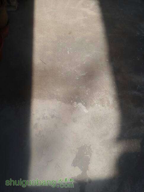 114148yca8w82jj2aemggg.jpg
